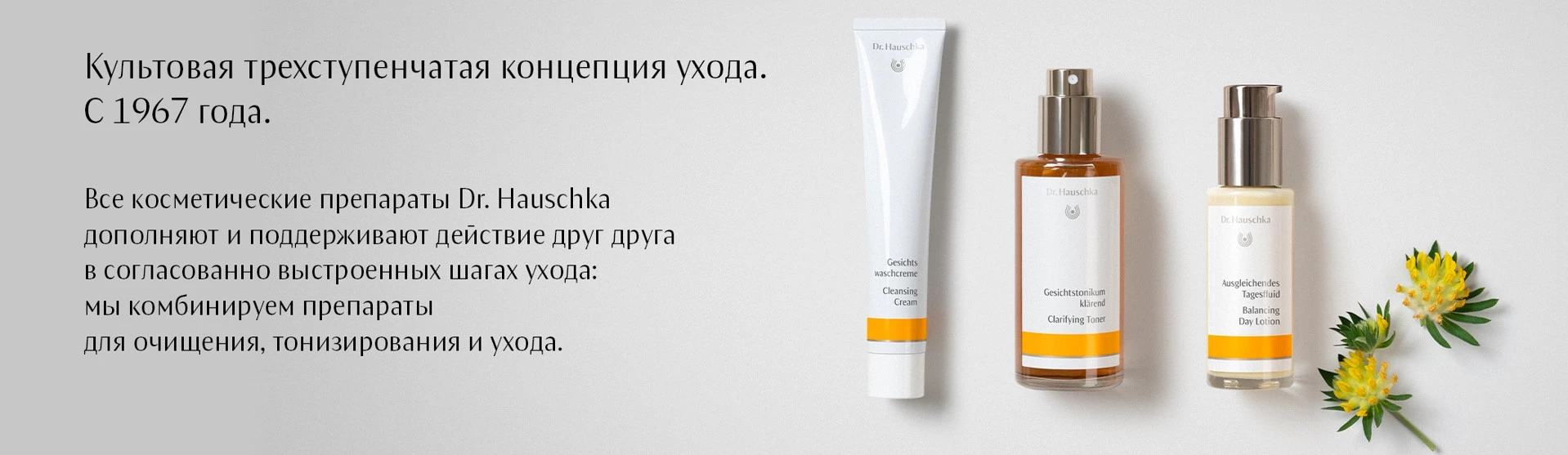 Dr Hauschka 3