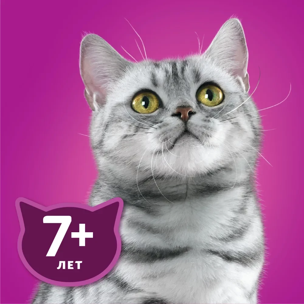 Влажный корм для кошек старше 7 лет Whiskas, рагу с курицей, 75 г x 28